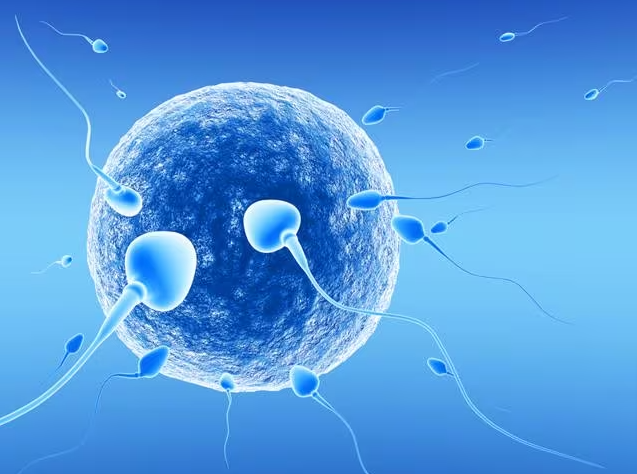 Sperm Health and Rising Infertility