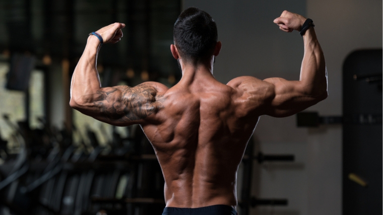 Back Activation Exercises