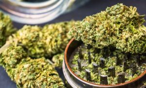 Four Held in Medchal for Possession of Hash Oil, Ganja