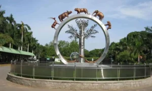Hyderabad Zoo to Launch Night Safari with Nocturnal Animals