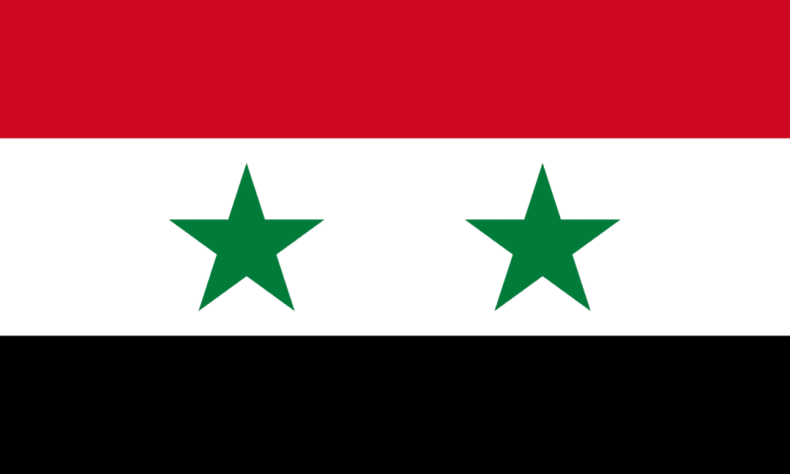 1755997375 Syria delays parliamentary vote in three provinces due to security