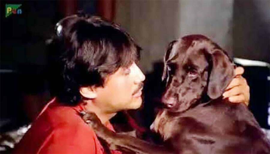 Dogs In Bollywood Films