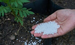 A political conspiracy at farmers expense