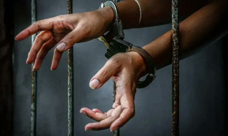 DRI unearths Rs 115 crore export incentive fraud spanning Mumbai