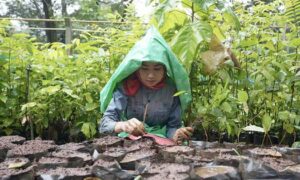 Eco India Episode 296 Why ecological health equals economic survival