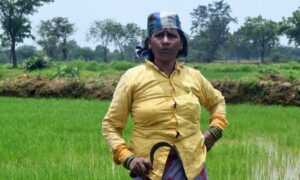Ethanol push fuels food pollution concerns in rural Chhattisgarh