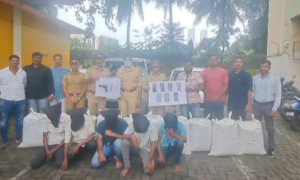 Malwani Police seize over 200 kgs of ganja six held