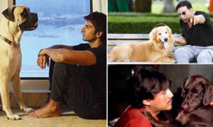 dogsinbollywoodfilmssoo1756214677