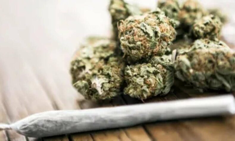 1759028793 200 kg ganja seized across Khammam police limits
