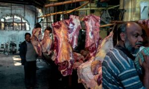 1759175221 Meat shops in Hyderabad to remain close on October 2