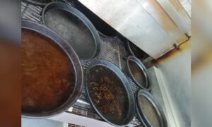 55 pizza outlets across Telangana raided gross food violations found