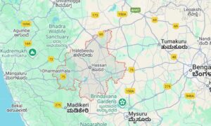 9 killed as truck crashes into Ganesh immersion procession in
