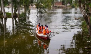 Death toll rises to 46 crop on 175 lakh hectares