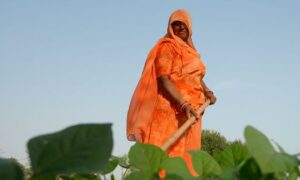 Eco India Episode 297 How can human intervention and innovation