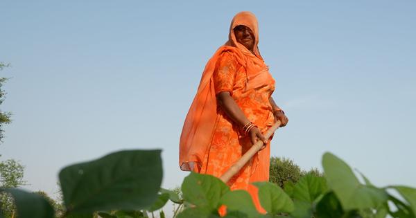 Eco India Episode 297 How can human intervention and innovation