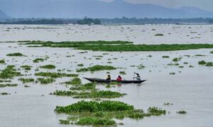 Eco India Episode 298 How working with nature solves climate