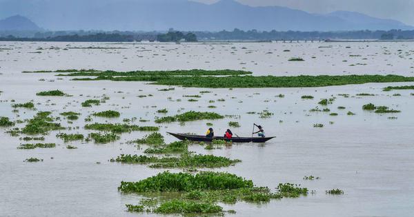 Eco India Episode 298 How working with nature solves climate