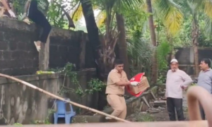 Human skeleton found near Malad building police probe underway