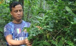 Indigenous Khasi communities cant sustain their forest based livelihoods for long