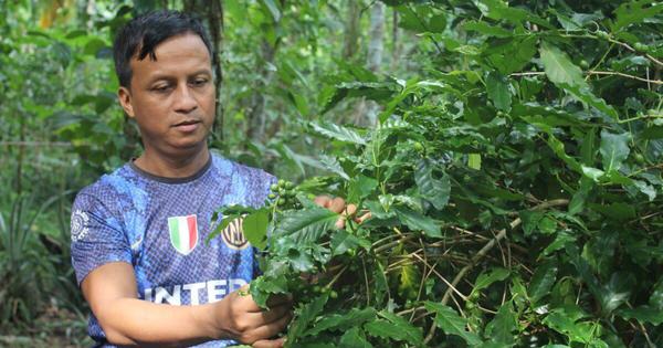 Indigenous Khasi communities cant sustain their forest based livelihoods for long