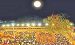 Ministers review master plan for Medaram Jatara