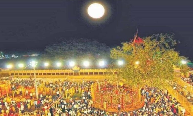 Ministers review master plan for Medaram Jatara