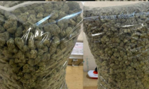 Mumbai Customs seize foreign currency drugs at airport two held