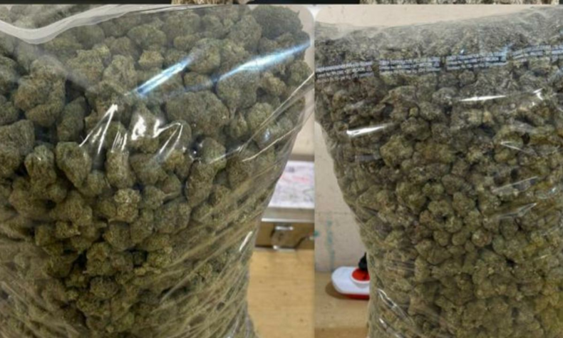 Mumbai Customs seize foreign currency drugs at airport two held