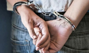 Mumbai Customs seize hydroponic weed worth Rs 49 crore 4