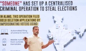 No deletion of any vote can be done online ECI