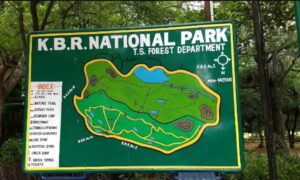 PILs in HC cites threat to 3000 trees in KBR