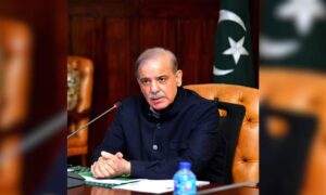 Pakistan respects Russias relations with India Sharif tells Putin