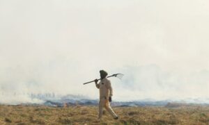 Punjab Police file 12 FIRs against farmers for stubble burning