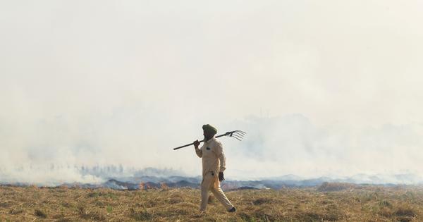 Punjab Police file 12 FIRs against farmers for stubble burning