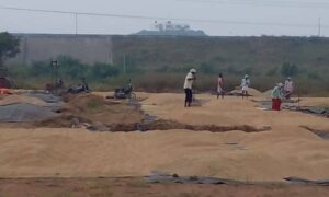 Reforms introduced to streamline Kharif paddy procurement in Telangana