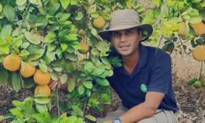 Rubber farmers are switching to exotic fruits for better income