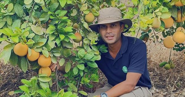 Rubber farmers are switching to exotic fruits for better income