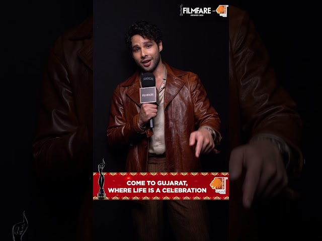 SiddhantChaturvedi is all set to join the celebration as the