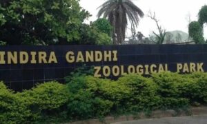 Vizag zoo announces birth of chowsingha macaws blackbuck