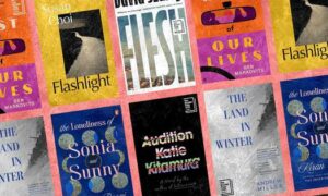 novels mostly about middle age that are anything but safe