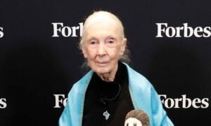 1759360498 Who Is Jane Goodall 5 Facts About the Advocate Her
