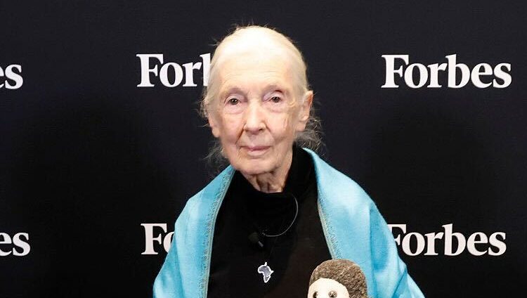 1759360498 Who Is Jane Goodall 5 Facts About the Advocate Her