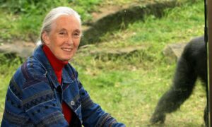1759411858 How Did the Beloved Primatologist Die – Hollywood Life
