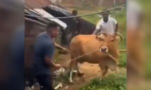 1759764659 Hindutva workers destroy meat shop seize cows in Odisha