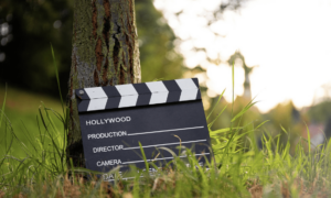 1760107140 Why the Entertainment World Is Taken by the North of
