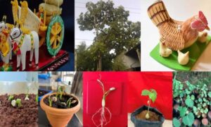1761228901 Researchers boost Telanganas Poniki tree germination with new technique