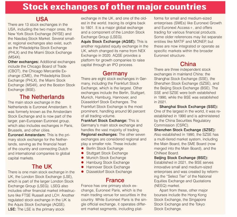1761387782 379 A Market of Plunging Stocks