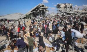 A day after ceasefire announcement Israeli forces kill 5 Palestinians
