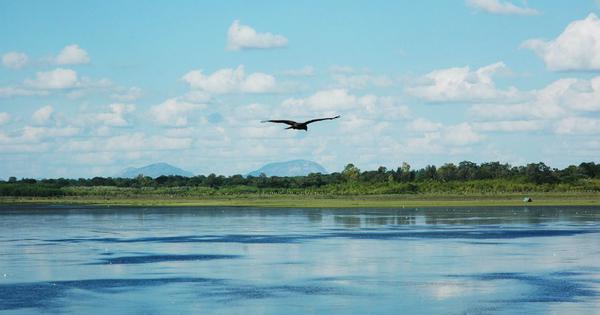 A grassland on Bengalurus outskirts is a biodiversity hub