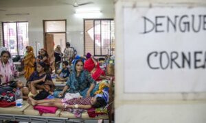 Climate change is increasing and expanding the spread of dengue